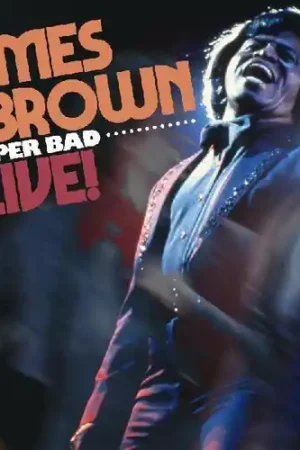 Super Bad Live Bulk Order