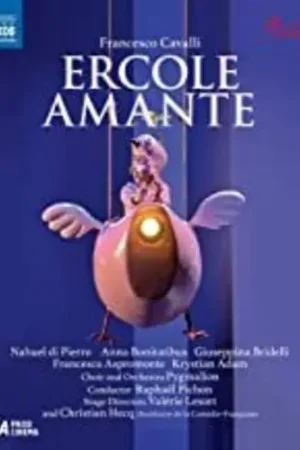 Ercole Amante Direct From Manufacturer