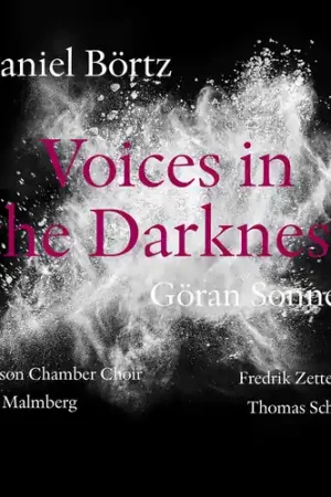 Daniel Bortz: Voices in the Darkness Last Chance