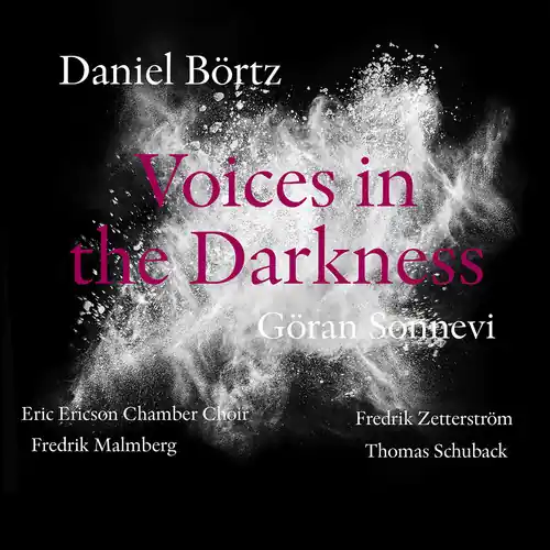 Daniel Bortz: Voices in the Darkness Last Chance