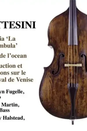 Next Day Delivery Fantasia la Sonnambula / Ci Divide L'ocean