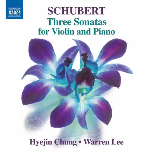 Crafted Schubert: Three Sonatas For Violin & Piano