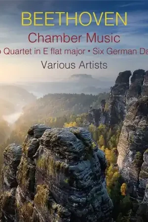 Free Returns Chamber Music