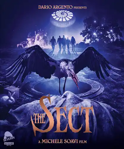 The Sect Shop Now