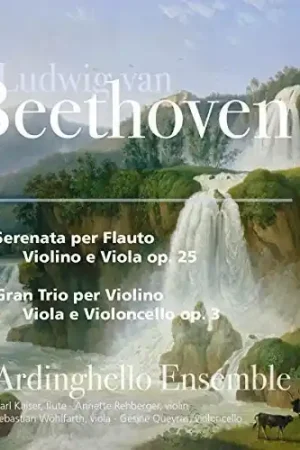 Beethoven: Serenade And String Trio Buy Direct