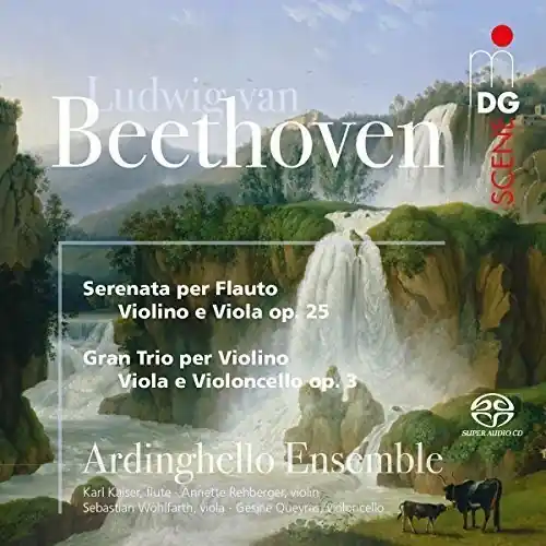 Beethoven: Serenade And String Trio Buy Direct
