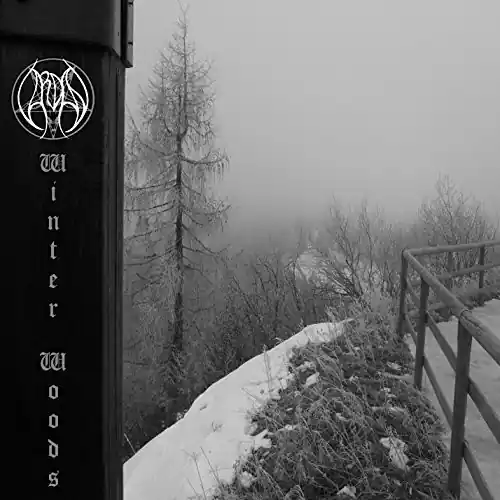 Next Day Delivery Winter Woods