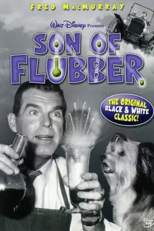 Son Of Flubber / (B&W) Fresh Stock