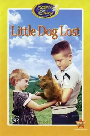 New Release Little Dog Lost