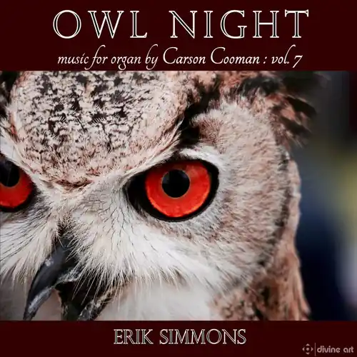 Owl Night Clearance