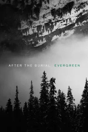 Evergreen Limited Edition