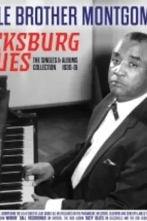 Vicksburg Blues: The Singles & Albums Collection Bulk Order