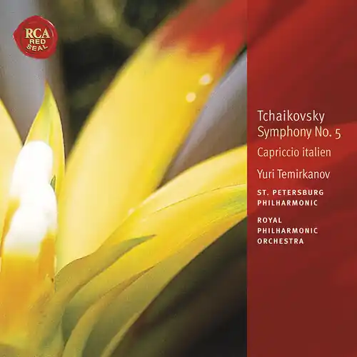 Big Sale Symphony No 5