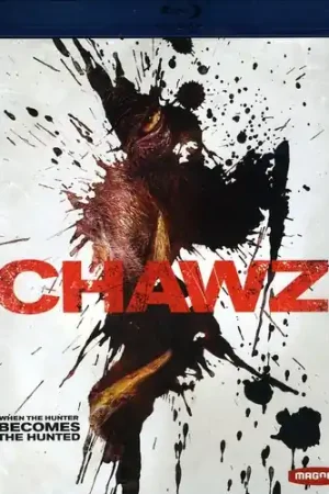 Express Delivery Chawz