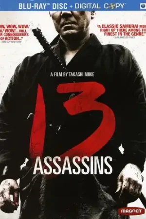 13 Assassins Direct From Factory