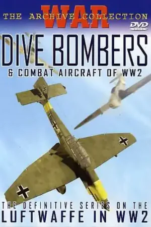 Dive Bombers & Combat Aircraft of WWII New Release