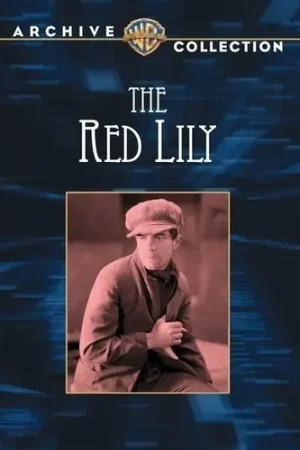 The Red Lily Limited Edition