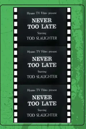 Buy Online Never Too Late To Mend / (Mod)