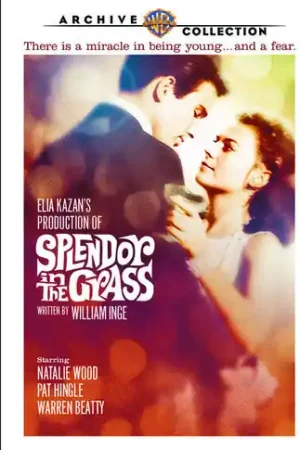 Top Rated Splendor in the Grass