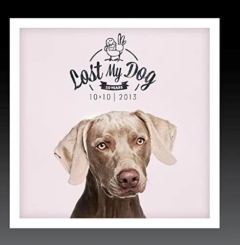 Lost My Dog 10x10 - 2013 Secure Checkout