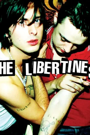 Best Price The Libertines - The Libertines [Vinyl]