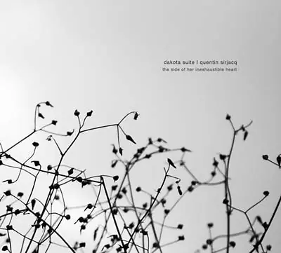 The Side Of Her Inexhaustible Heart [Vinyl] Express Delivery