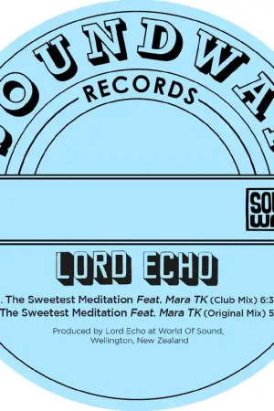 Fan Favorite The Sweetest Meditation Remixes [Vinyl]