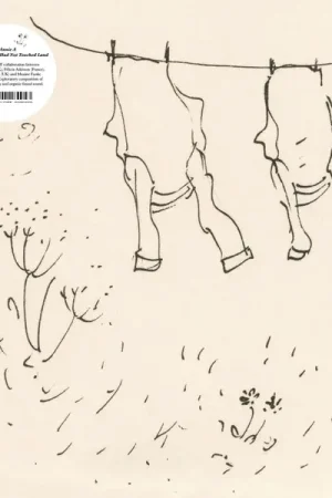 In Demand The Wind That Had Not Touched Land [Vinyl]