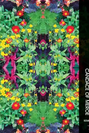 Theon / Pokus Cross - Candace of Meroe / Pokus One [Vinyl] High Quality