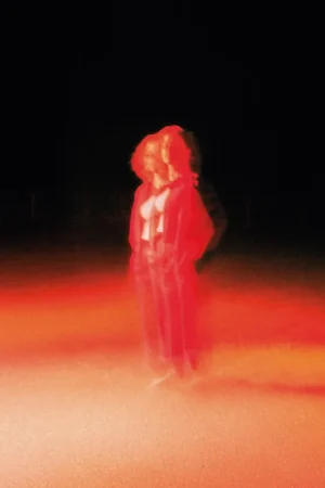 These Frightening Machines (Red Smoke Vinyl) [Vinyl] Budget