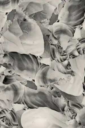 THRUPENCE - Ideas Of Aesthetics [Vinyl] Affordable