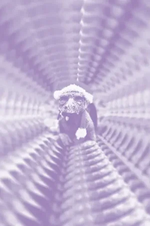Hot Deal To Keyi Toko Zonga [Vinyl]