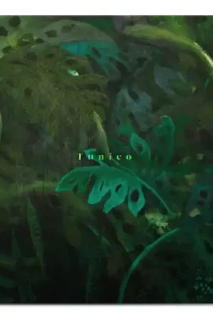 TUNICO - Tunico [Vinyl] Big Sale