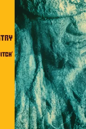 Get Yours Twitch (Deluxe Edition) (RKTBR24) (B&MEX) [Vinyl]