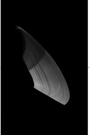 Flash Sale Two [Vinyl]