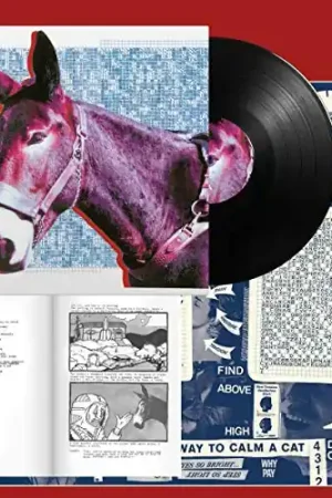 New Arrival Ultimate Success Today [Vinyl]