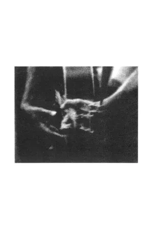 Free Returns Unaccompanied Acoustic Guitar Improvisations Vol. 2 [Vinyl]