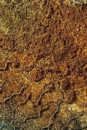 Price Drop Va - Velvet Desert Music Vol. 2 [Vinyl]