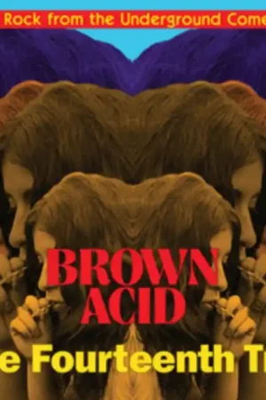 Secure Checkout Various Artists - Brown Acid: The Fourteenth Trip - LP Vinyl