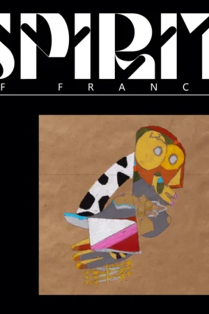 Various Artists - Spirit of France (DELUXE EDITION) [Vinyl] Top Rated