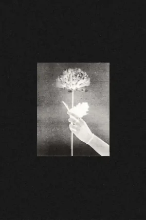 White Flowers - Day By Day (BLUE VINYL) [Vinyl] Latest