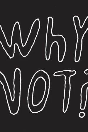 Why Not? [Vinyl] Last Chance