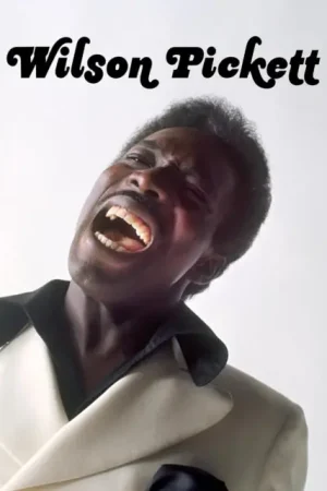 Wilson Pickett - Now Playing - LP Vinyl Last Chance