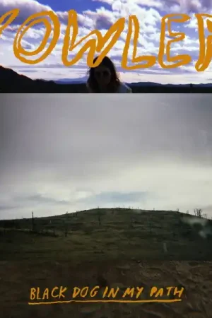 Yowler - Black Dog In My Path [Vinyl] Affordable