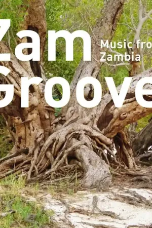 High Quality Zam Groove: Music from Zambia [Vinyl]