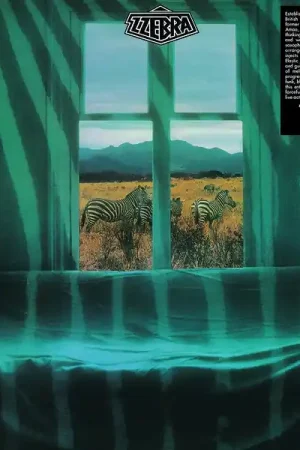 Zzebra - Zzebra [Vinyl] Final Sale