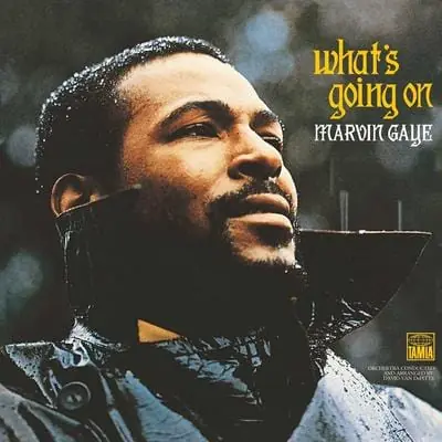 What's Going On - Marvin Gaye [VINYL] Seasonal Sale