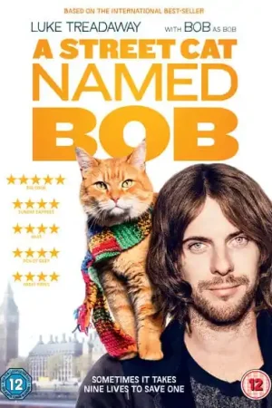 A Street Cat Named Bob - Roger Spottiswoode [DVD] Time-Limited