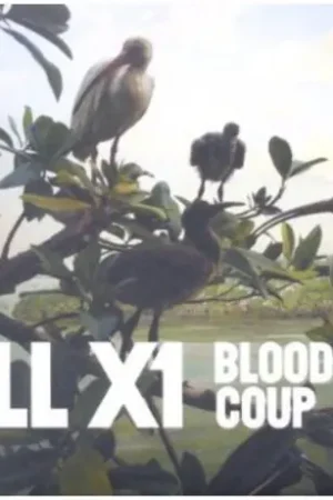 Bloodless Coup Buy Direct