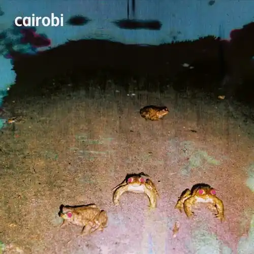 Clearance Cairobi